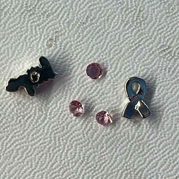 🐸 Origami Owl Charms: Hope, Breast Cancer Awareness ribbon and 3 Pink crystals - Picture 4 of 4